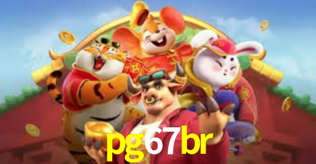 pg67br App Interface